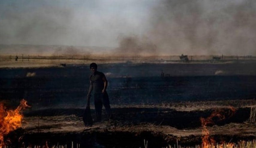 روزنامه آمریکایی: سوزاندن محصولات کشاورزی در سوریه با موافقت ترامپ صورت گرفته
