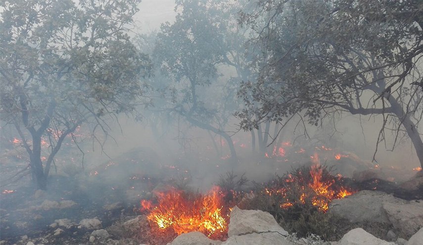 اندلاع حرائق في محمية طبيعية بمنطقة 'خائيز' غربي ايران