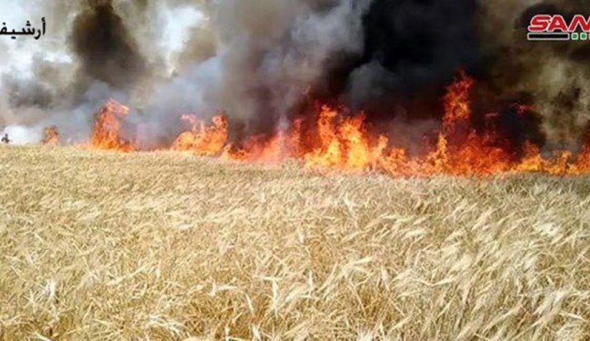 کشف بالن آتش‌زای آمریکایی در زمین‌های کشاورزی سوریه
