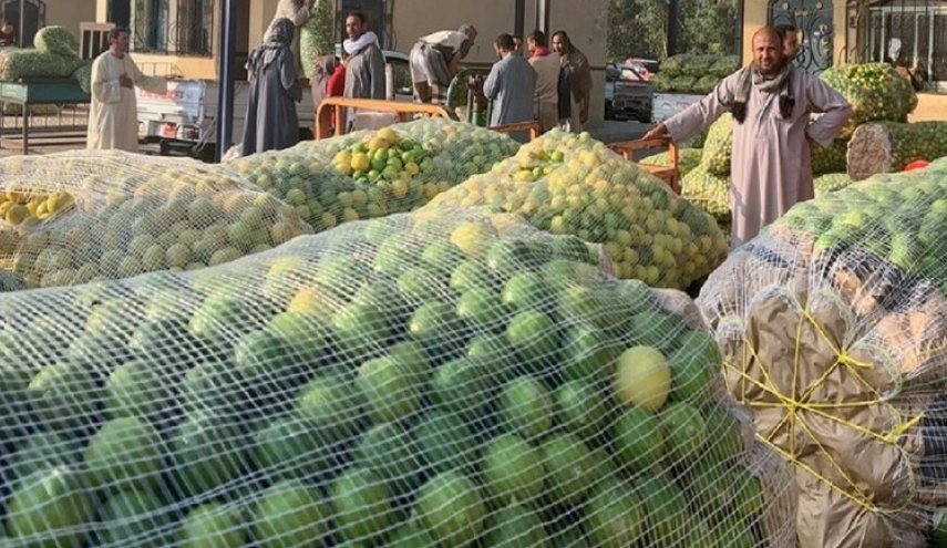 كورونا يقتل 47 مصريا ويرفع أسعار الليمون!