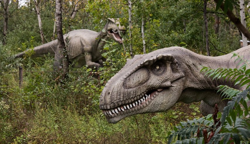 العلماء يكتشفون شكل أقدام ديناصورات عاشت قبل 190 مليون عام+صور