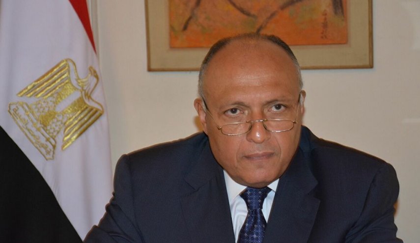 وزير خارجية مصر يحذر من استغلال 'داعش' لأزمة كورونا