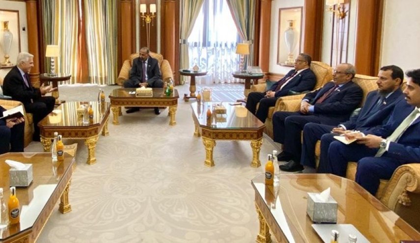 دیدار سفیر روسیه با رئیس شورای انتقالی جنوب؛ تأکید گروه یمنی بر حل 4 پرونده

