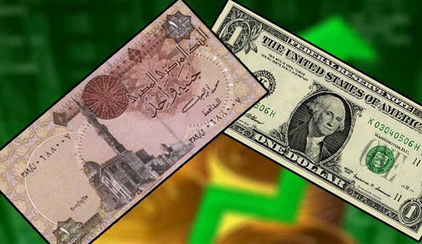 الدولار يواصل الارتفاع أمام الجنيه المصري