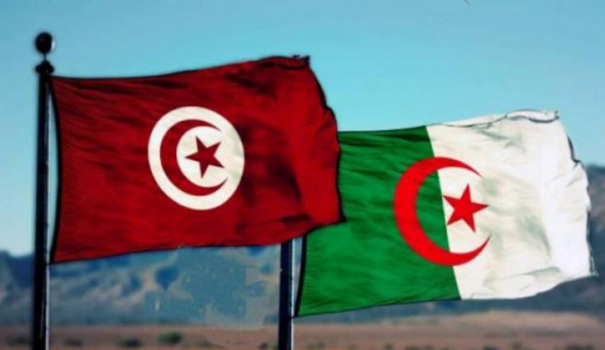 الجزائر تخفض سعر بيع الغاز لتونس