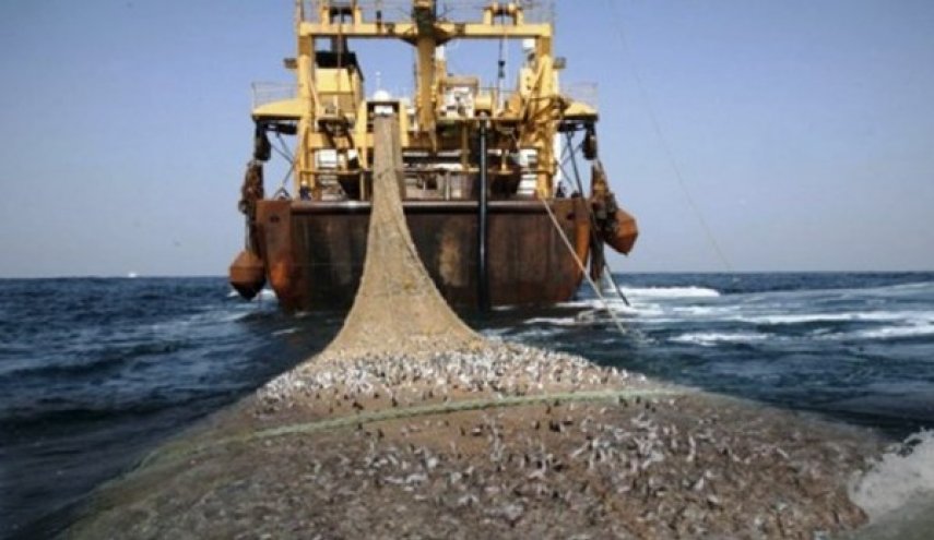 بحرية الحرس الثوري توقف سفينتي صيد ترولة في مياه جابهار
