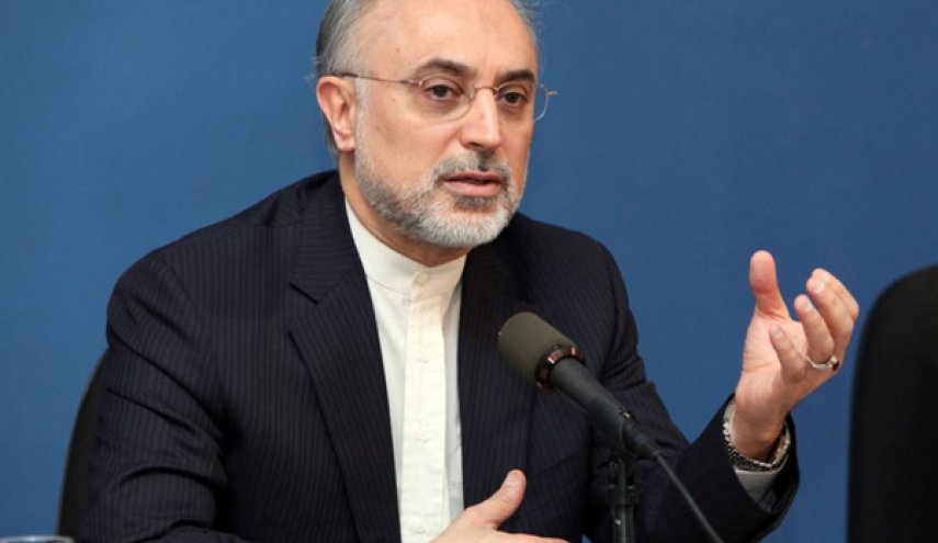 صالحي: ايران ماضية في انجازاتها النووية