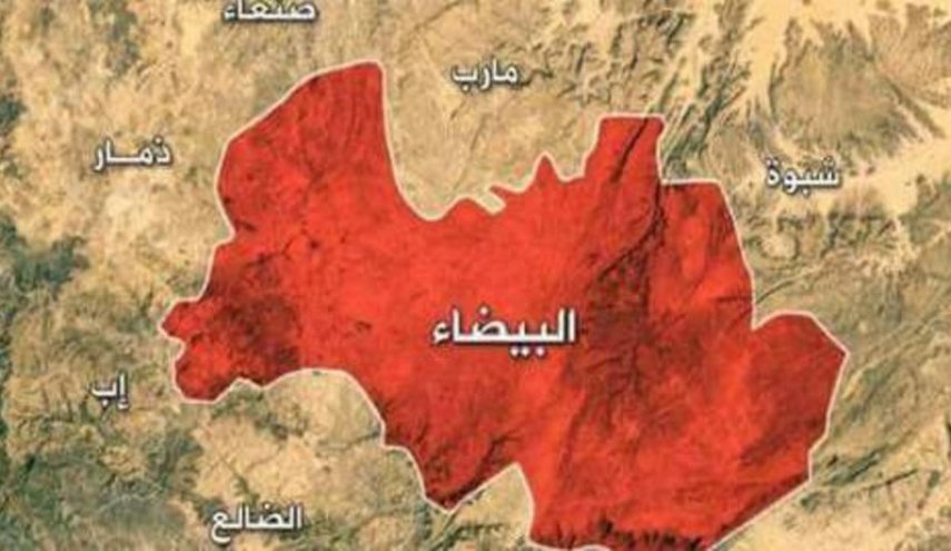 القوات اليمنية تستهدف معاقل تنظيم القاعدة و'داعش' في البيضاء