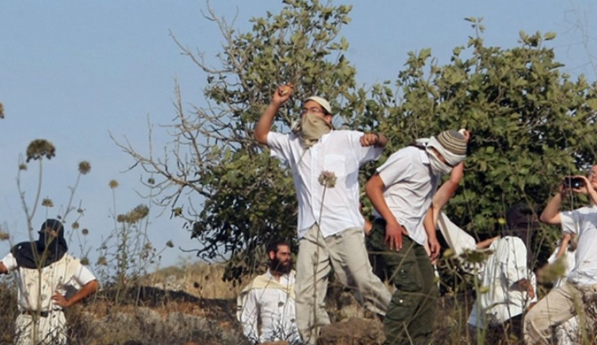  مستوطنو يتسهار ينفذون 20 اعتداءا ارهابيا ضد الفلسطينيين