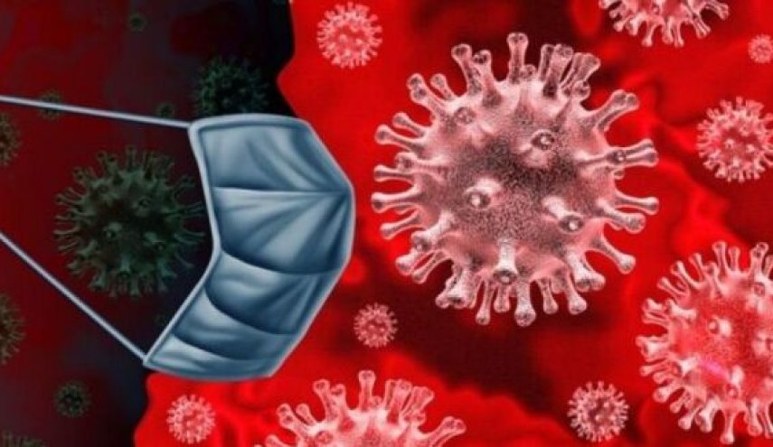 شناسایی گونه جهش یافته ویروس کرونا با همه گیری بالا و مرگ و میر پایین
