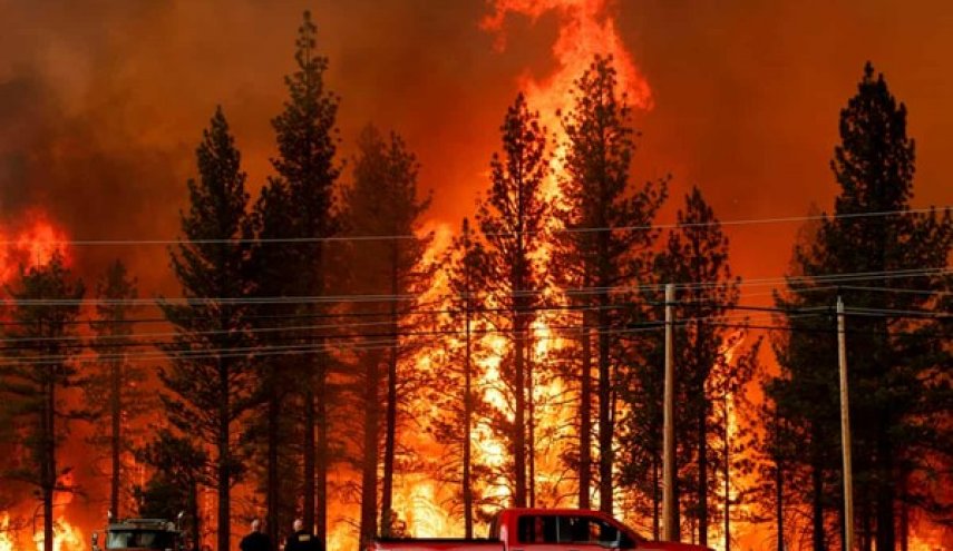 آتش‌سوزی در کالیفرنیا| 6 نفر کشته و 200 هزار نفر آواره شدند