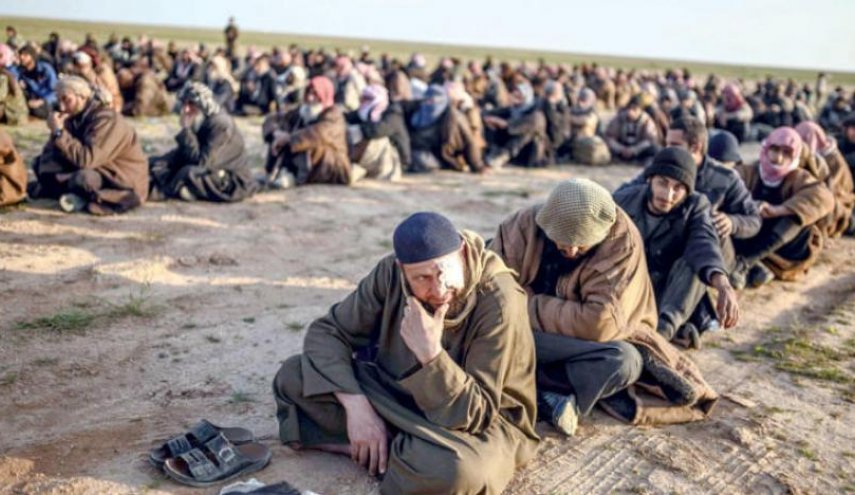 سازمان ملل: فعالیت بیش از 10 هزار عضو داعش در سوریه و عراق