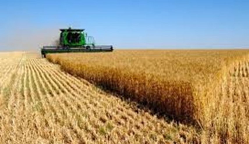مشتريات ايران من القمح المحلي تتخطى 8.2 مليون طن