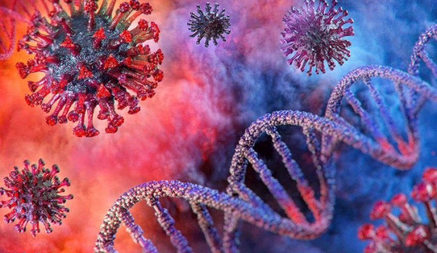 العلماء يكتشفون فائدة غير متوقعة لفيروس 'كورونا'