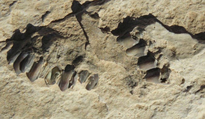 اكتشاف أقدم آثار أرجل بشرية بشبه الجزيرة العربية!
