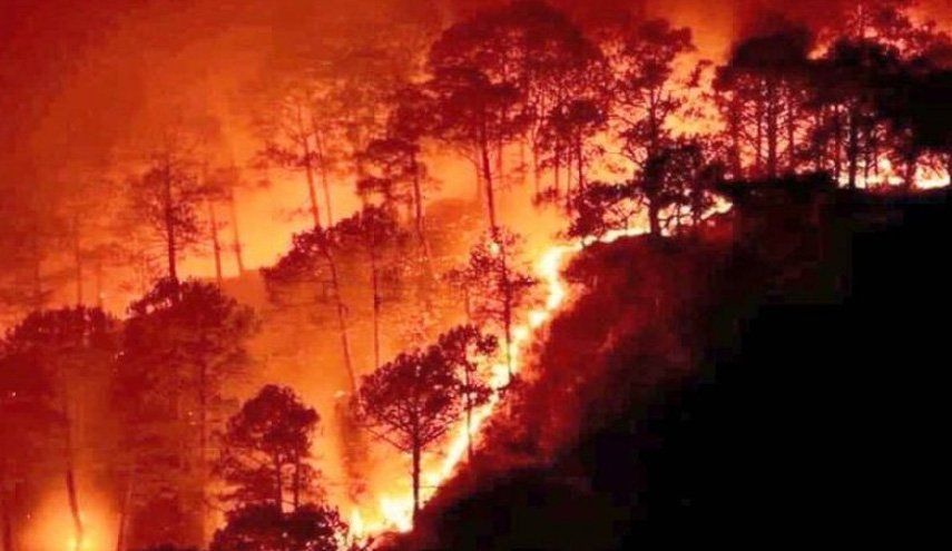 ادامه آتش سوزی در جنگل های سوریه/ ۲۰ کشته و زخمی بر اثر حریق گسترده / احتمال انفجار ۱۵۰ تن نیترات آمونیوم این بار در سوریه