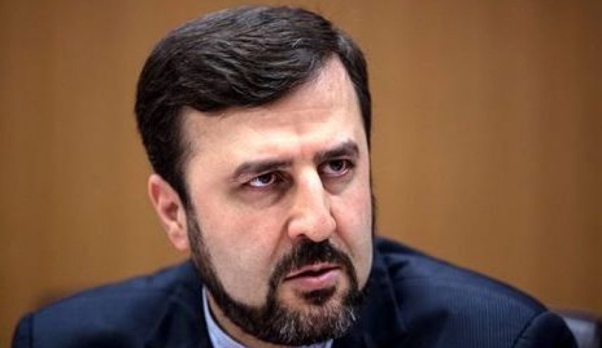 واکنش غریب‌آبادی به اظهارنظر مدیرکل آژانس در مورد ایران