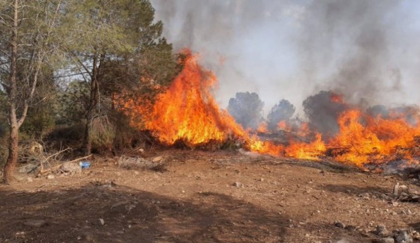 التجارة السورية تعلن عن فتح حساب لمساعدة متضرري الحرائق