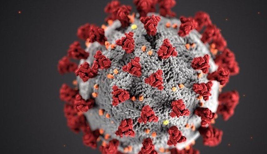 ویروس کرونا ۱۰ ساعت روی پوست زنده می ماند
