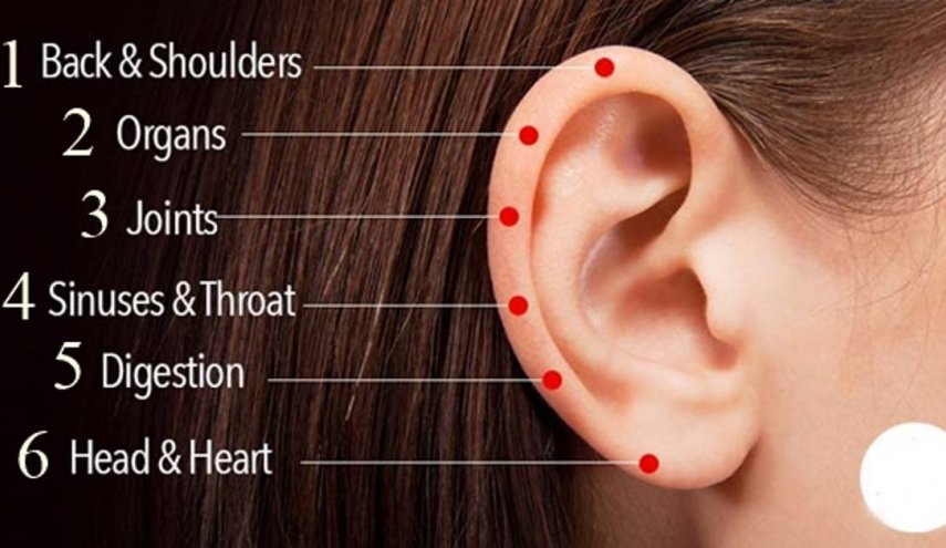 6 نقاط تدليك على الأذن لعلاج الأمراض المستعصية