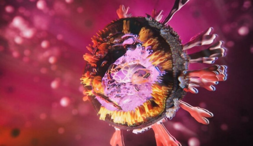 آیا ویروس کرونا خطرناک‌تر شده است؟
