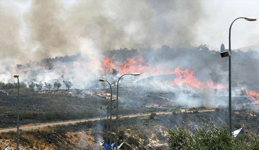اوتشا: احراق 1000 شجرة زيتون في 19 اعتداءا للمستوطنين