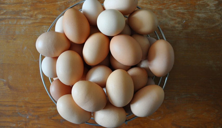 ما هو الفرق بين البيض ذي القشرة البنية والقشرة البيضاء؟