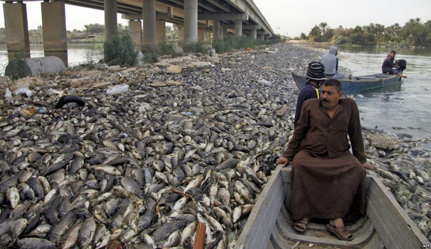 اكتشاف فيروس جديد قاتل يصيب الأسماك في العراق