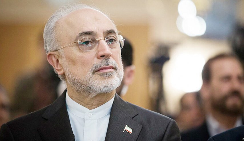 صالحی: ایران هیچ شرطی را برای بازگشت آمریکا به برجام نمی‌پذیرد