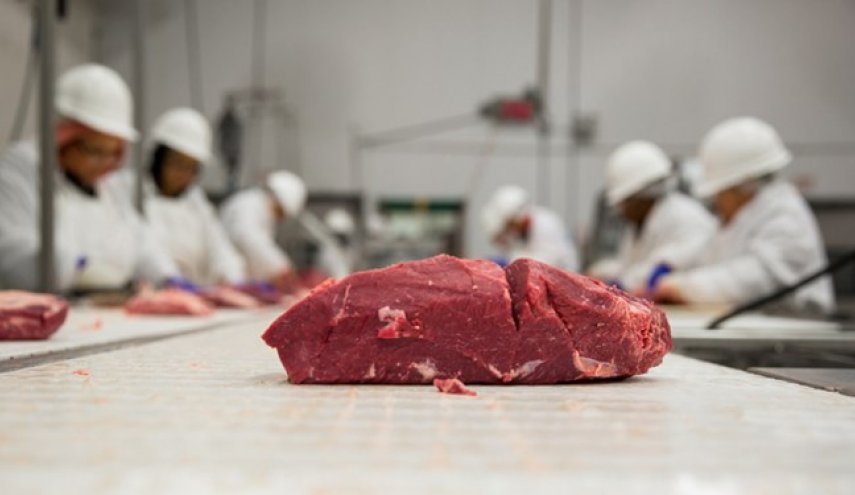 عربستان رسماً واردات گوشت از ترکیه را تحریم کرد
