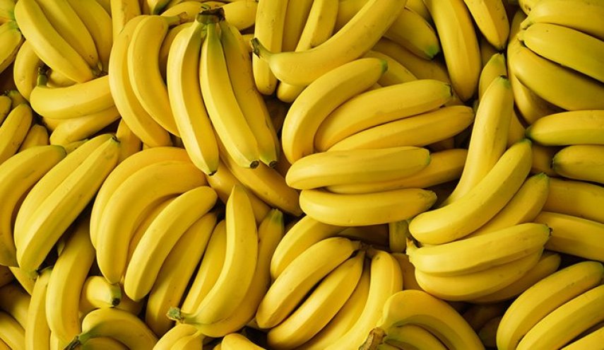 هل الموز يزيد الوزن بالفعل أم يُنقصه؟