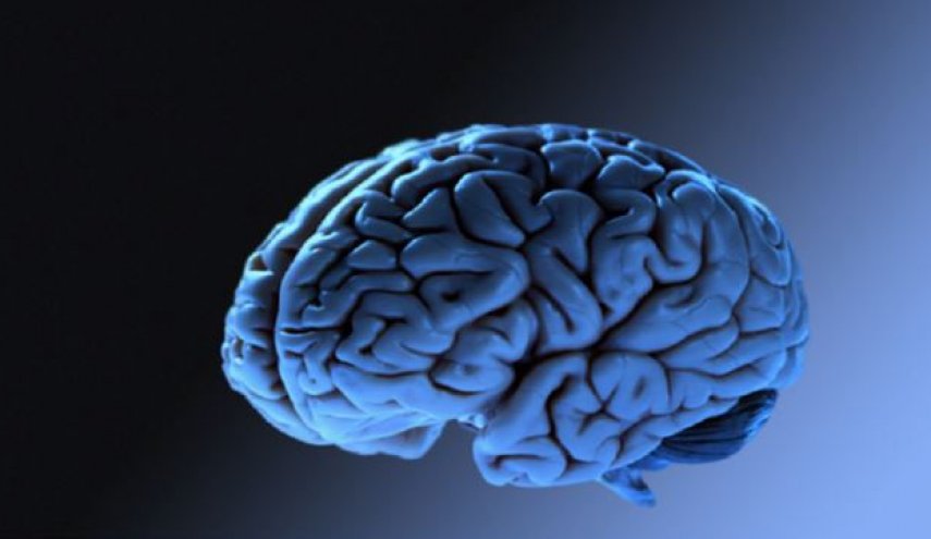 أزمة السمنة قد تعرّض الأفراد لخطر الإصابة باضطراب دماغي