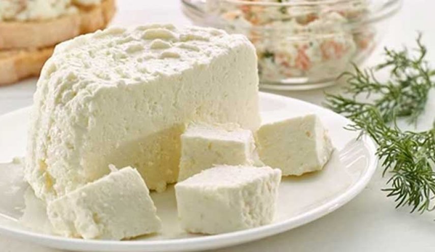 هل تناول الجبن مضر أم مفيد للصحة؟