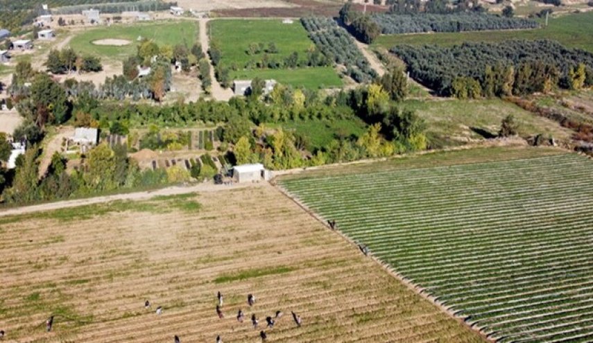 رژیم صهیونیستی، زمین‌های کشاورزی فلسطینیان را زیر آب غرق کرد
