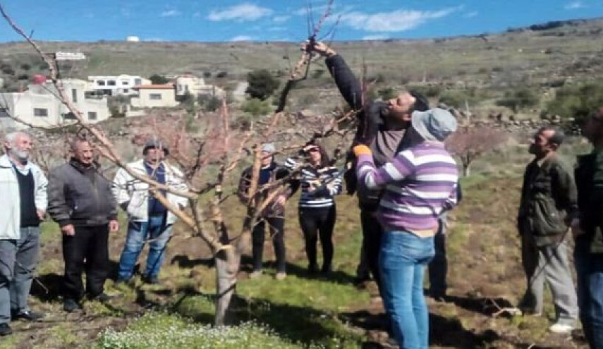 افتتاح 3 مدارس حقلية للزراعة العضوية بالسويداء