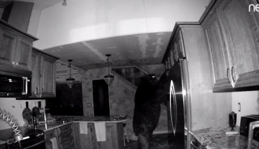 وضع كاميرا مراقبة في مطبخ منزله..ما اكتشفه عن زوجته صادم!
