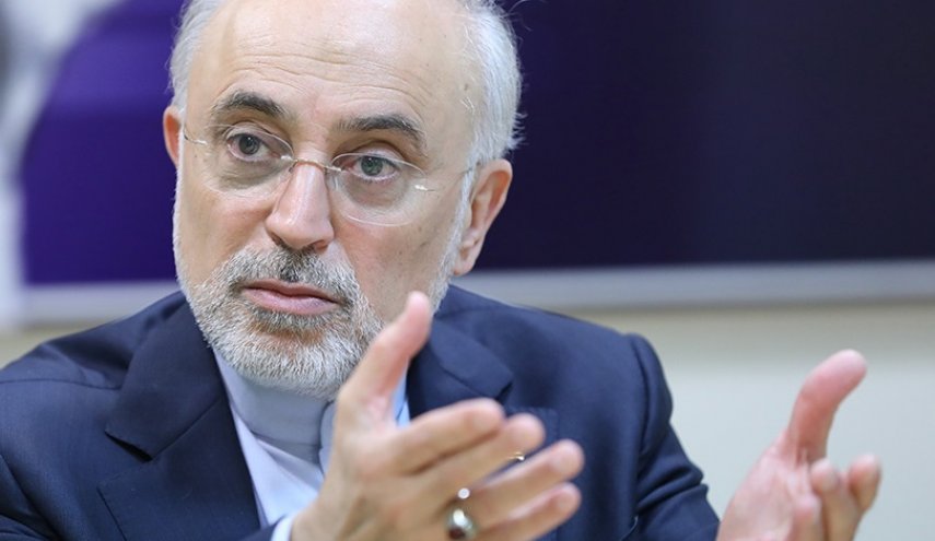 متن بیانیه ایران با آژانس با شورای عالی امنیت ملی هماهنگ شده بود