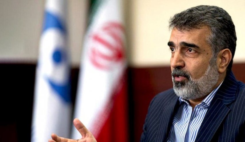 کمالوندی: همواره گفته ایم که ایران فشار و تهدید را نمی پذیرد