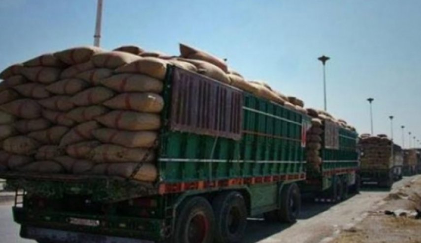 الاحتلال الامريكي يسرق كمية جديدة من القمح السوري في ريف الحسكة