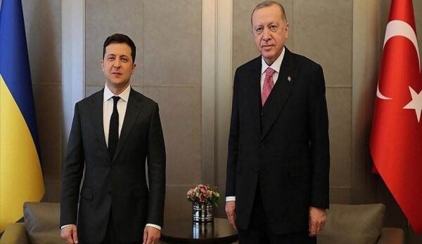دیدار رؤسای جمهور ترکیه و اوکراین در استانبول