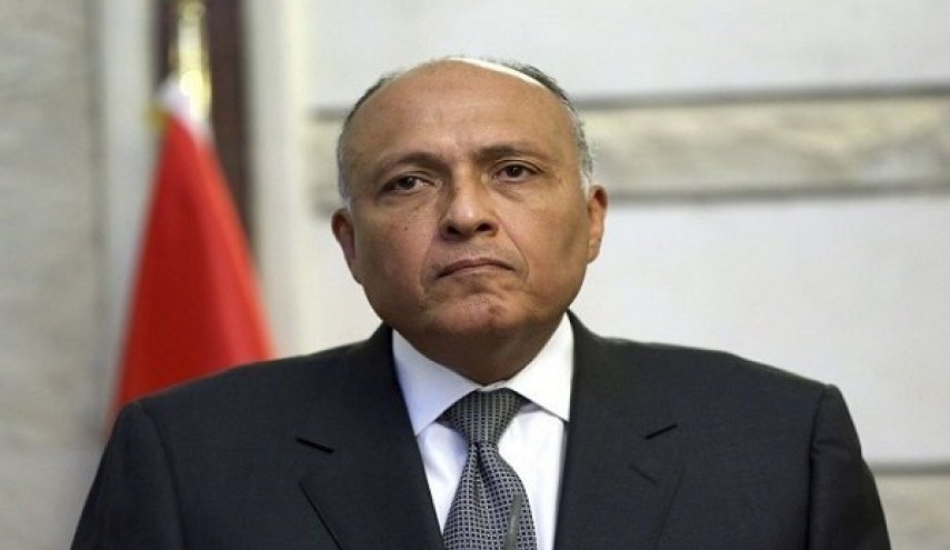 دیدار وزیر خارجه مصر با گریفیث درباره بحران یمن
