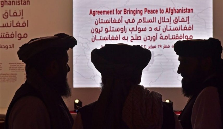 طالبان طرح پیشنهادی صلح منتسب به این گروه را رد کرد
