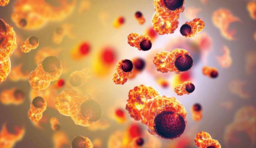 علماء بريطانيون يطورون علاجا يحارب السرطان عبر تدريب الخلايا المناعية