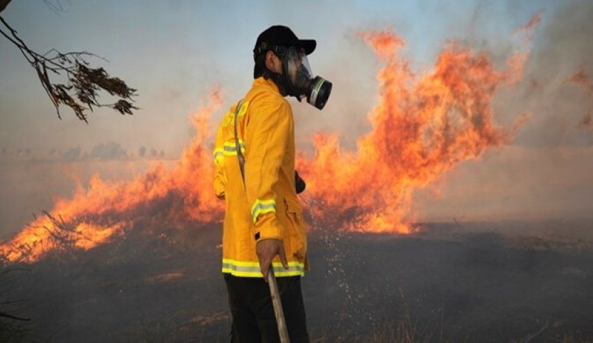بالن‌های آتش‌زا موجب 12 آتش‌سوزی در مزارع شهرک‌های صهیونیست‌نشین شد
