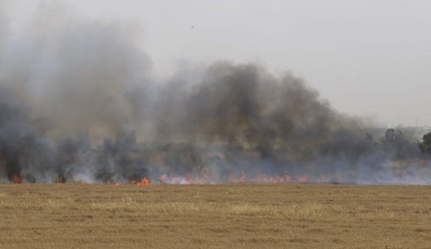 اذعان صهیونیست‌ها به 35 مورد آتش سوزی در جنوب اسرائیل