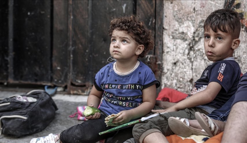 منظمة دولية تحذر: قطاع غزة لن يتحمل 