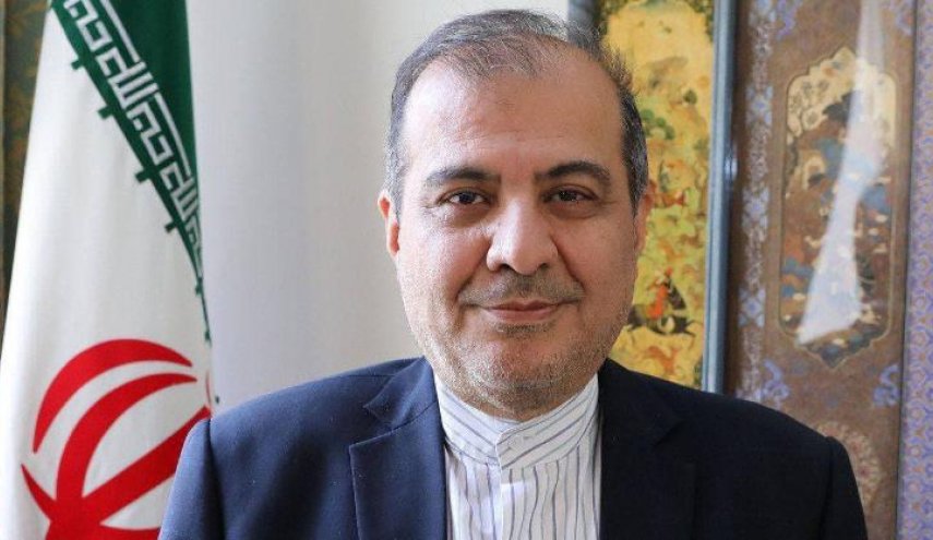گفت‌وگوی مشاور ظریف با معاون وزیر خارجه دولت نجات ملی یمن