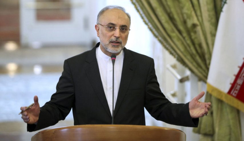 صالحی: دست ایران در مذاکرات وین از نظر فنی بسیار پر است
