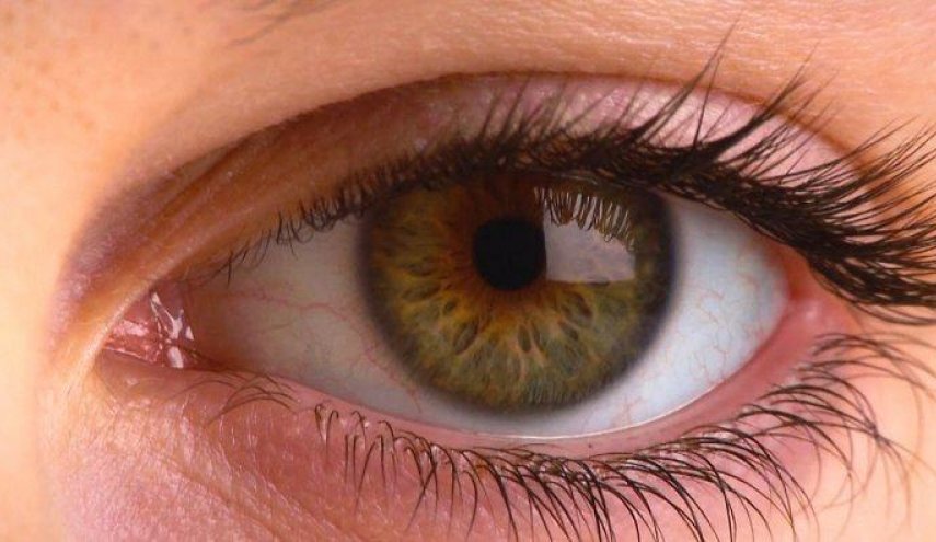تحذير خطير لوجود صلة بين رعشة العين والسرطان... ما هي أعراضه؟