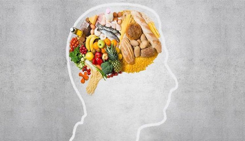 عناصر غذائية تساعد على تحسين الذاكرة وتعزيز وظيفة الدماغ